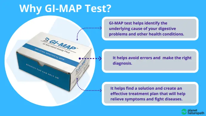 GI Map Lab Test with Zonulin